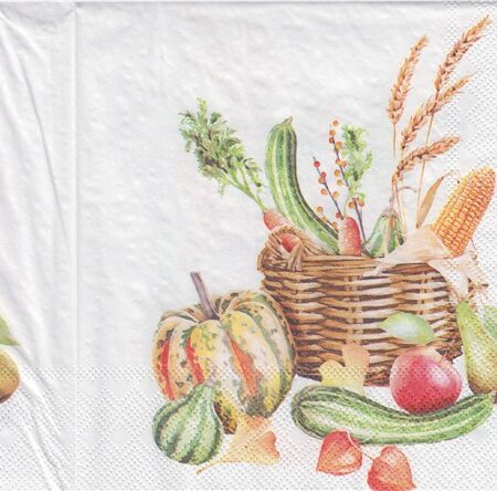 10689 - 5 servetten