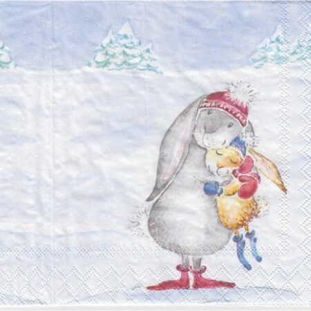 10694 - 5 servetten