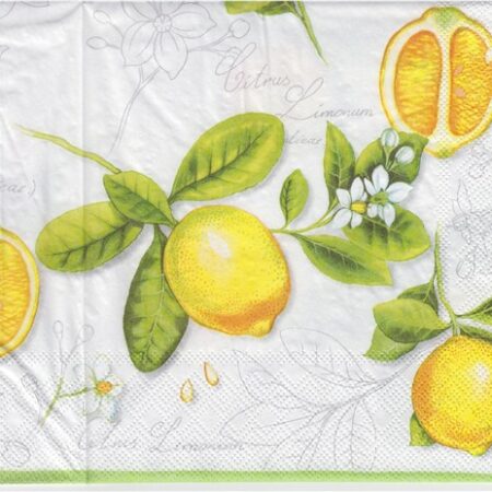 10791 - 5 servetten