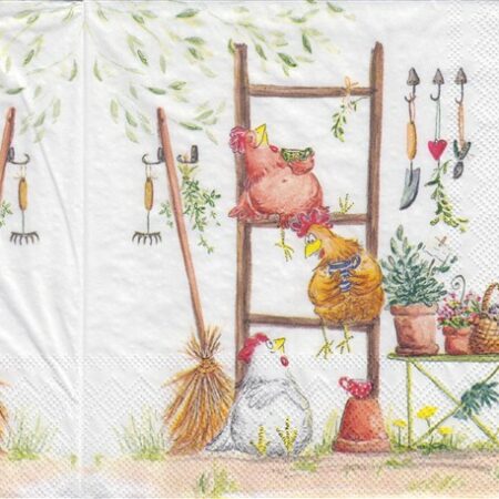 10925 - 5 servetten
