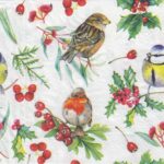 10937 - 5 servetten