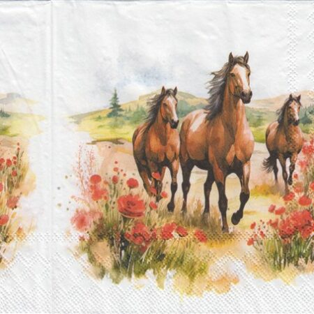 10952 - 5 servetten