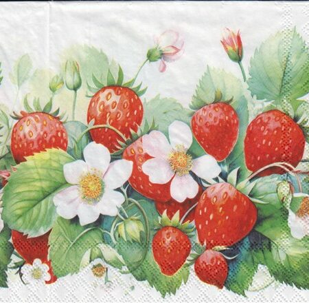 10991 - 5 servetten