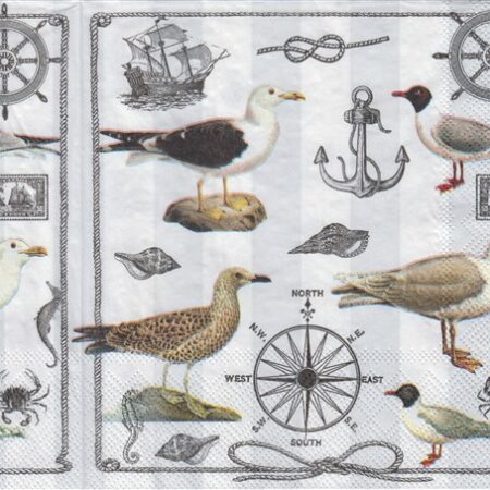11082 - 5 servetten
