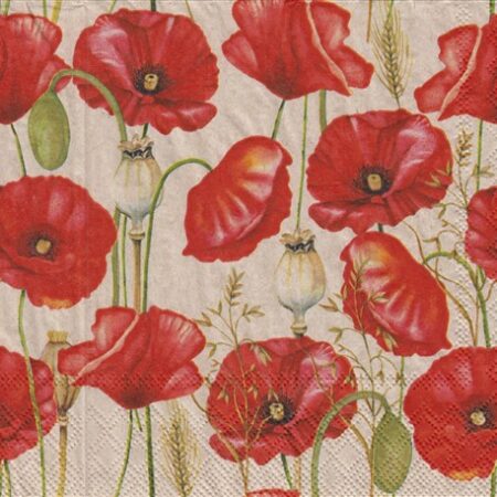 11177 - 5 servetten, beige ondergrond