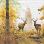 11196 - 5 servetten