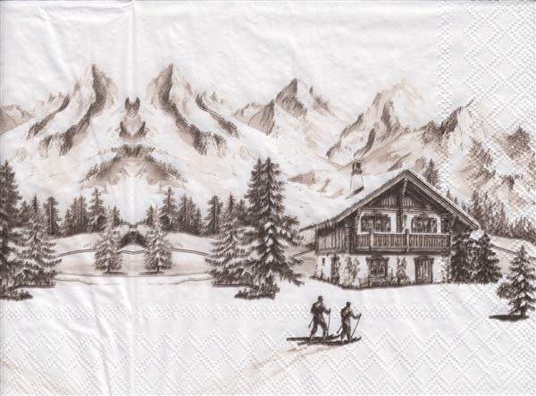 11207 - 5 servetten